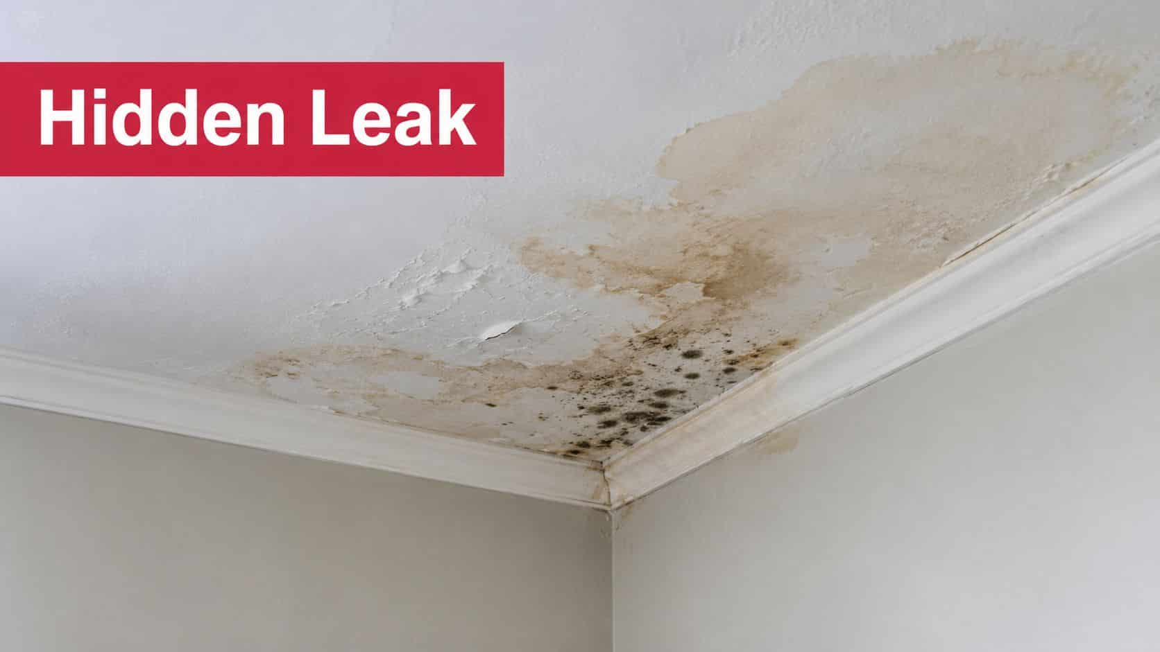 A ceiling corner showing significant water damage, peeling paint, and dark mold growth from a hidden leak.